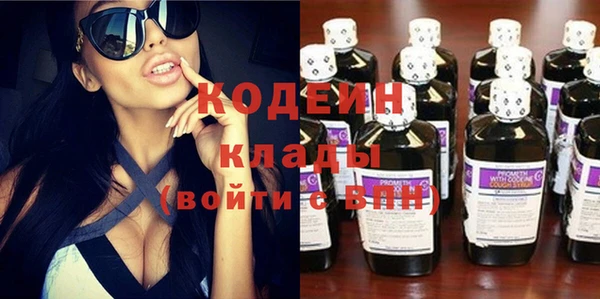 соль ск Арсеньев