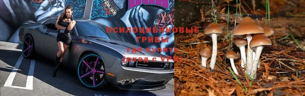 гашиш Аркадак