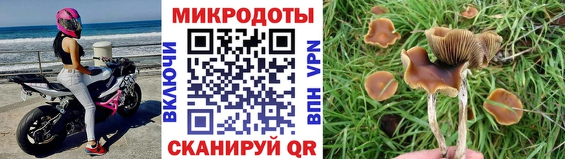 Галлюциногенные грибы мухоморы kraken ССЫЛКА Белинский